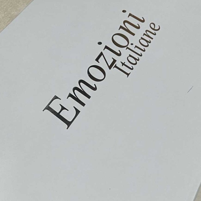 Постельное белье Emozioni Italiane кружево "Penelope", 2-х спальное (евро), белый