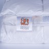 Одеяло Prinz and Prinzessin пуховое "BABY SNOW", 100x135 см, всесезонное